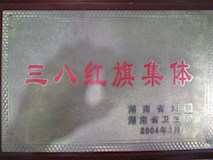 2004年湖南省妇联、湖南省卫生厅授牌