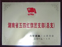 2013年共青团湖南省委员会授牌