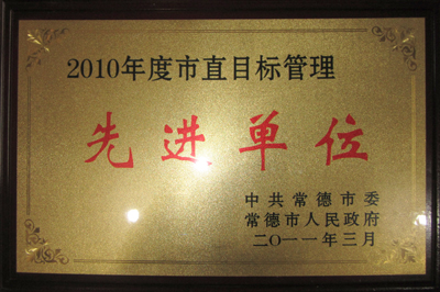 17a.jpg