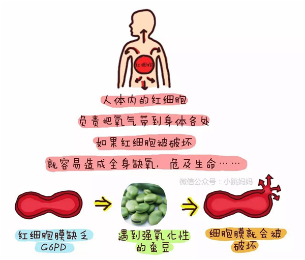 微信图片_20170609152027.jpg