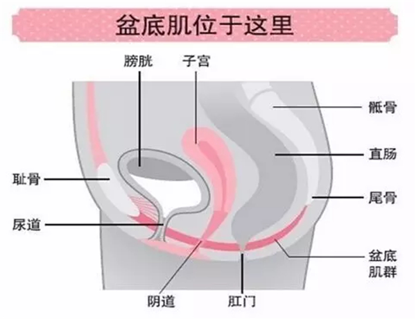 图一3.jpg