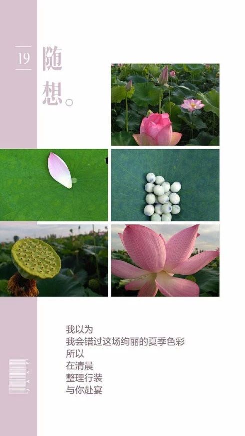 微信图片_20180530120248.jpg