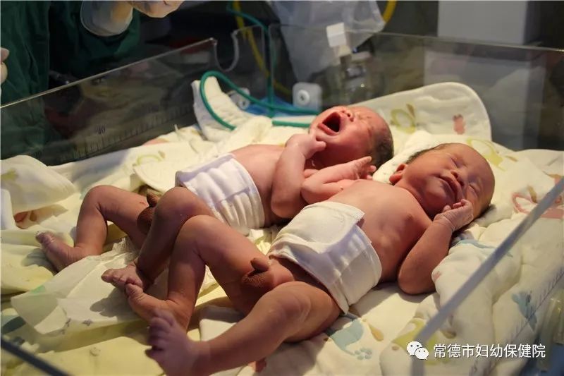 微信图片_20181126171117.jpg