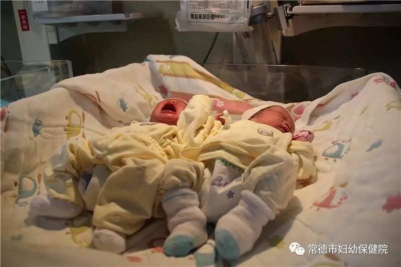 微信图片_20181126171136.jpg