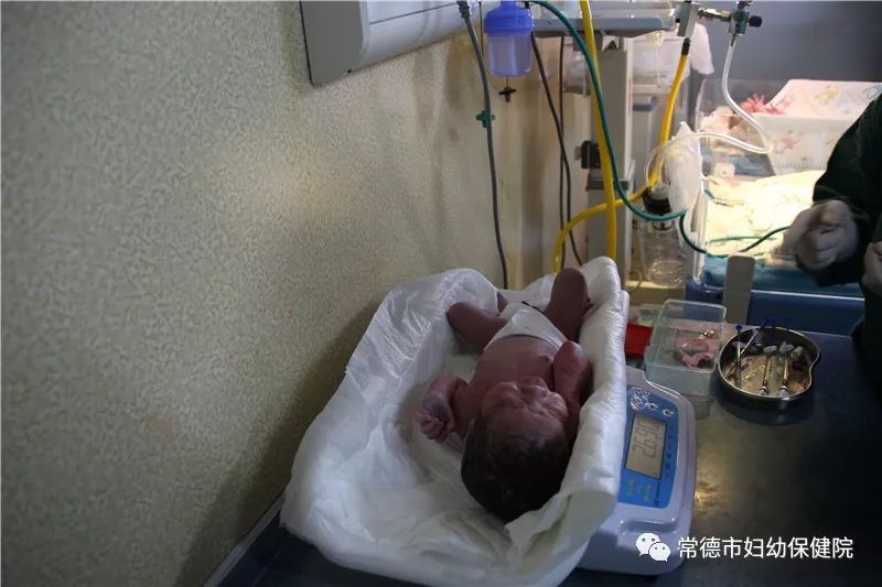 微信图片_20181126171306.jpg