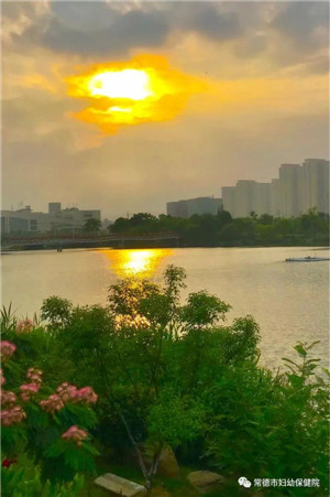 微信图片_20190515112924.jpg