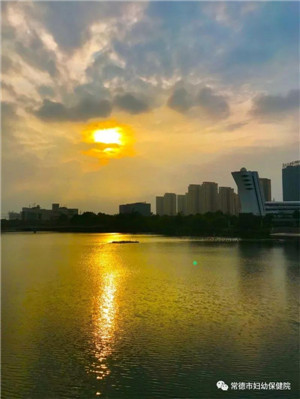 微信图片_20190515113045.jpg