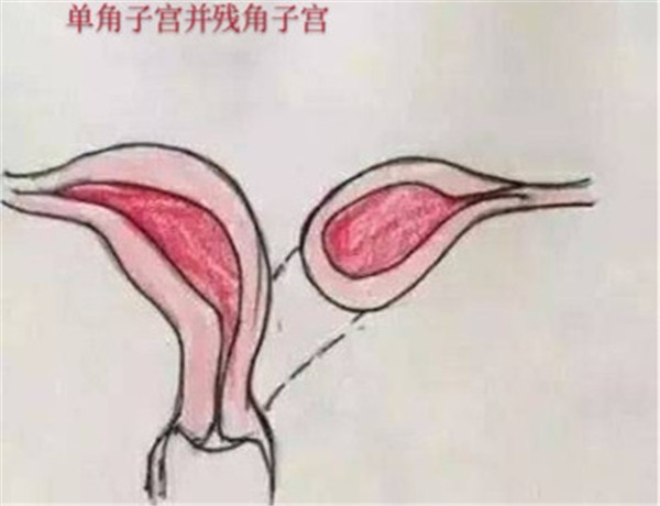 微信图片_20200324165613.jpg